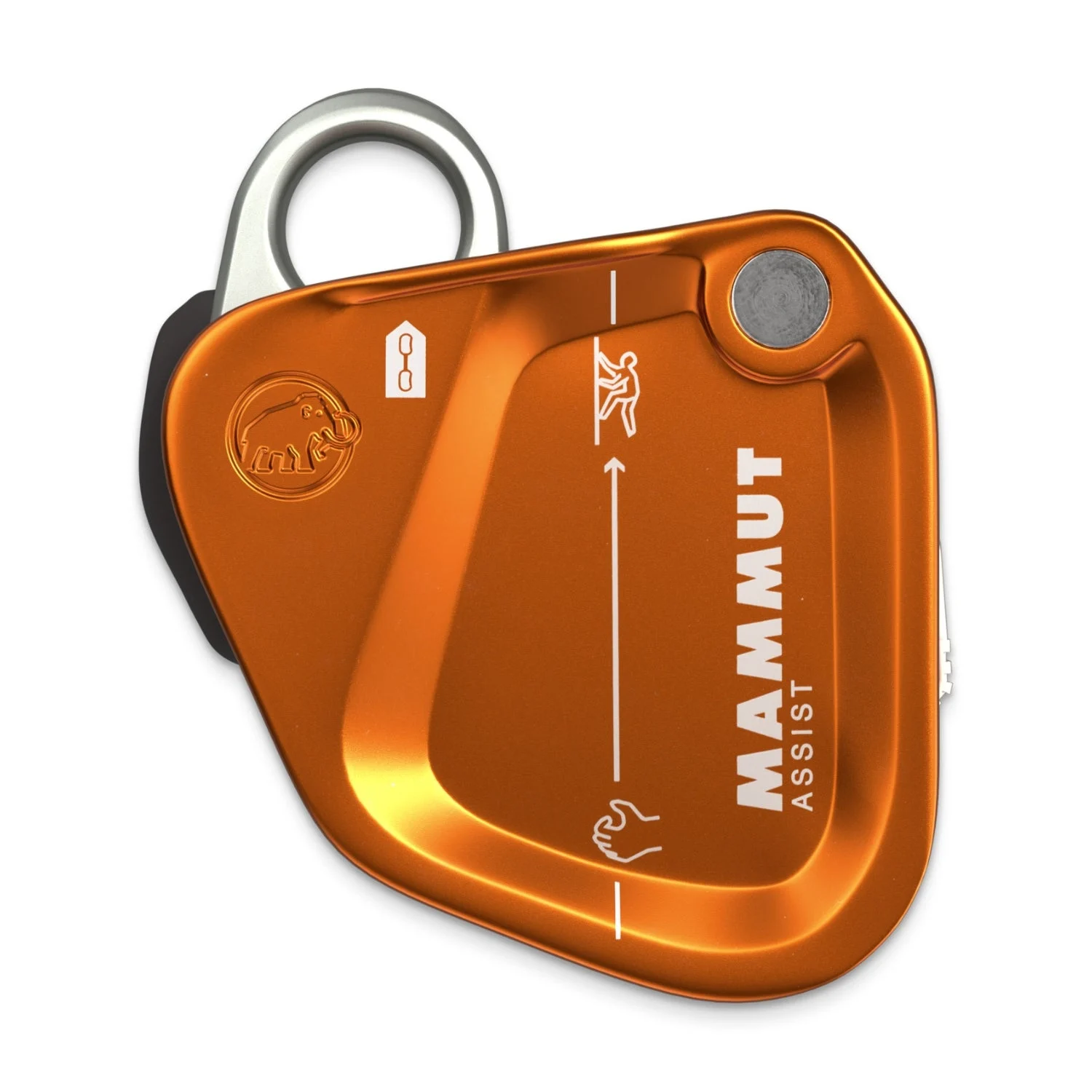 Mammut Assist Belay Resister