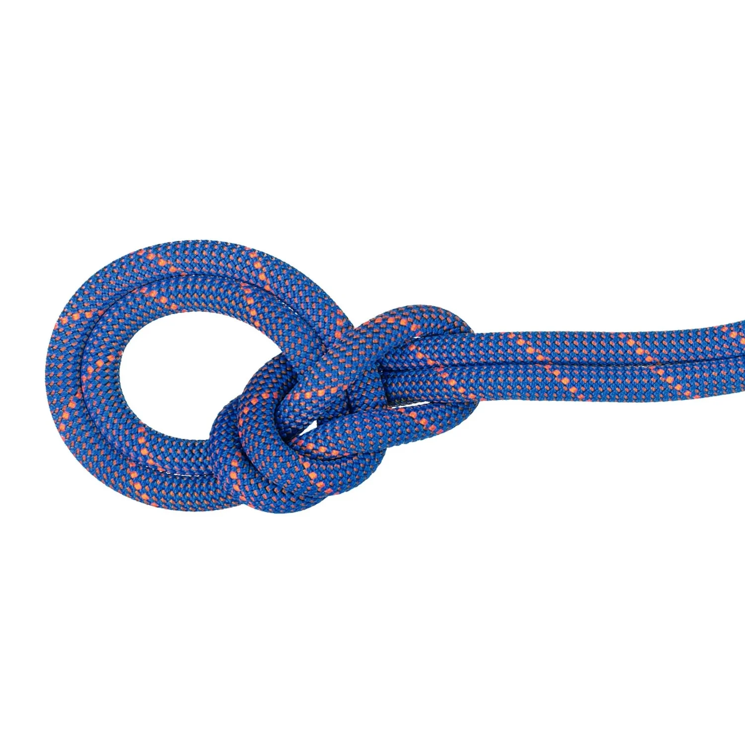 Mammut Crag Sender Dry 9mm x 100m