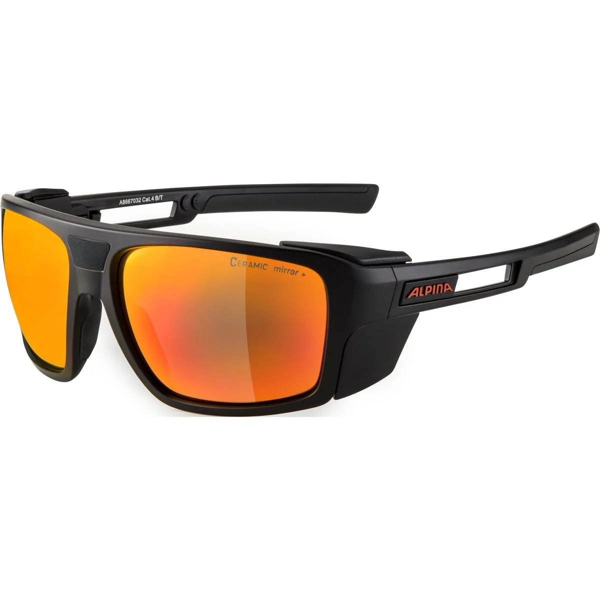 Alpina Skywalsh - Cat 4