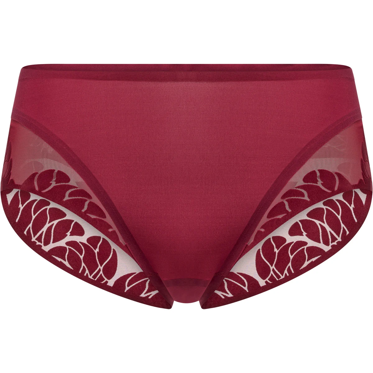 HASTKO PANTY91 TUSCANY  - Underwear