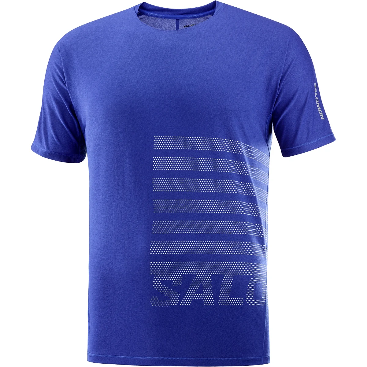 SALOMON SENSE AERO SS TEE GFX M SURF THE WEB/RAINY DAY  - Trail running T-shirt