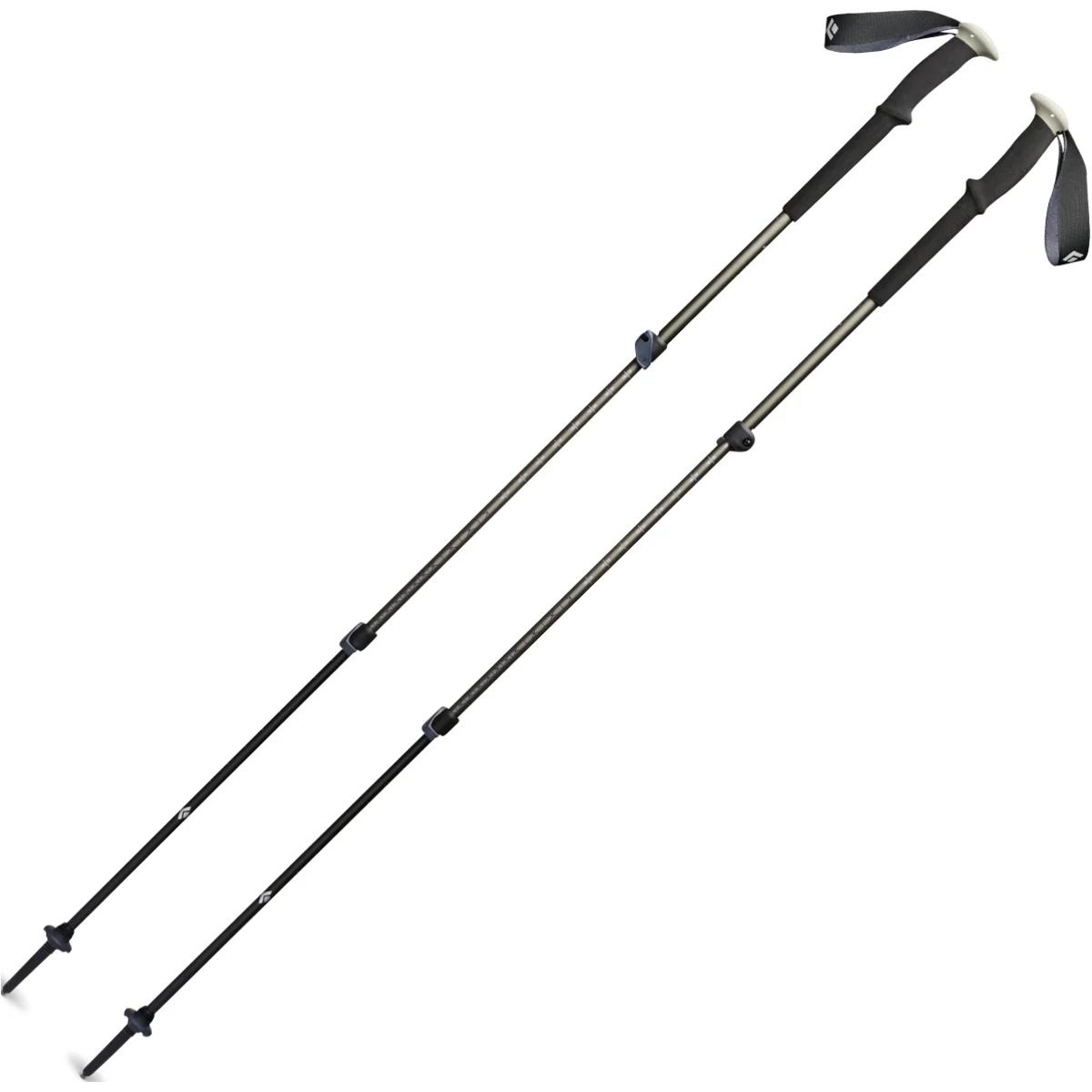 BLACK DIAMOND TRAIL TREKKING POLES PINE SMOKE  - Hiking pole