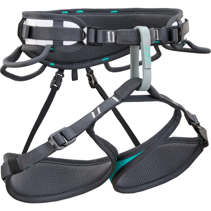 Climbing Technology Ascent Harness (Aquamarine / Anthracite)