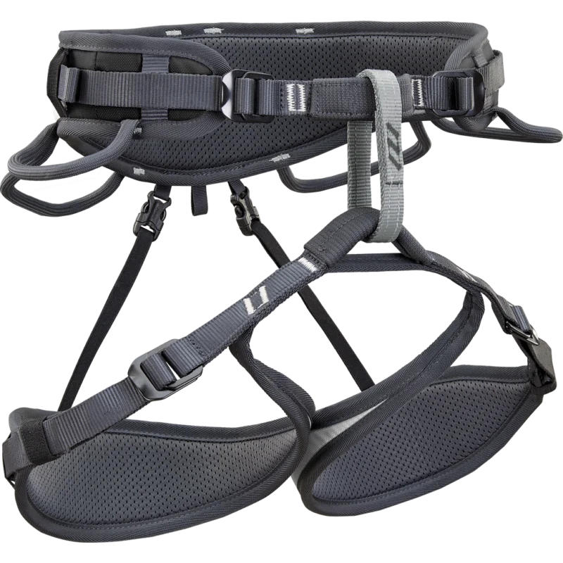 Climbing Technology Ascent Harness (Silver / Anthracite)