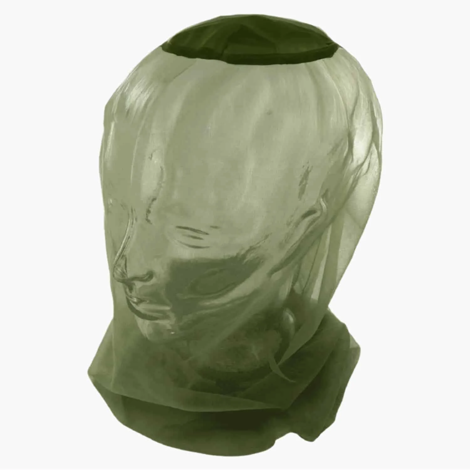 Mosquito / Midge Head Net