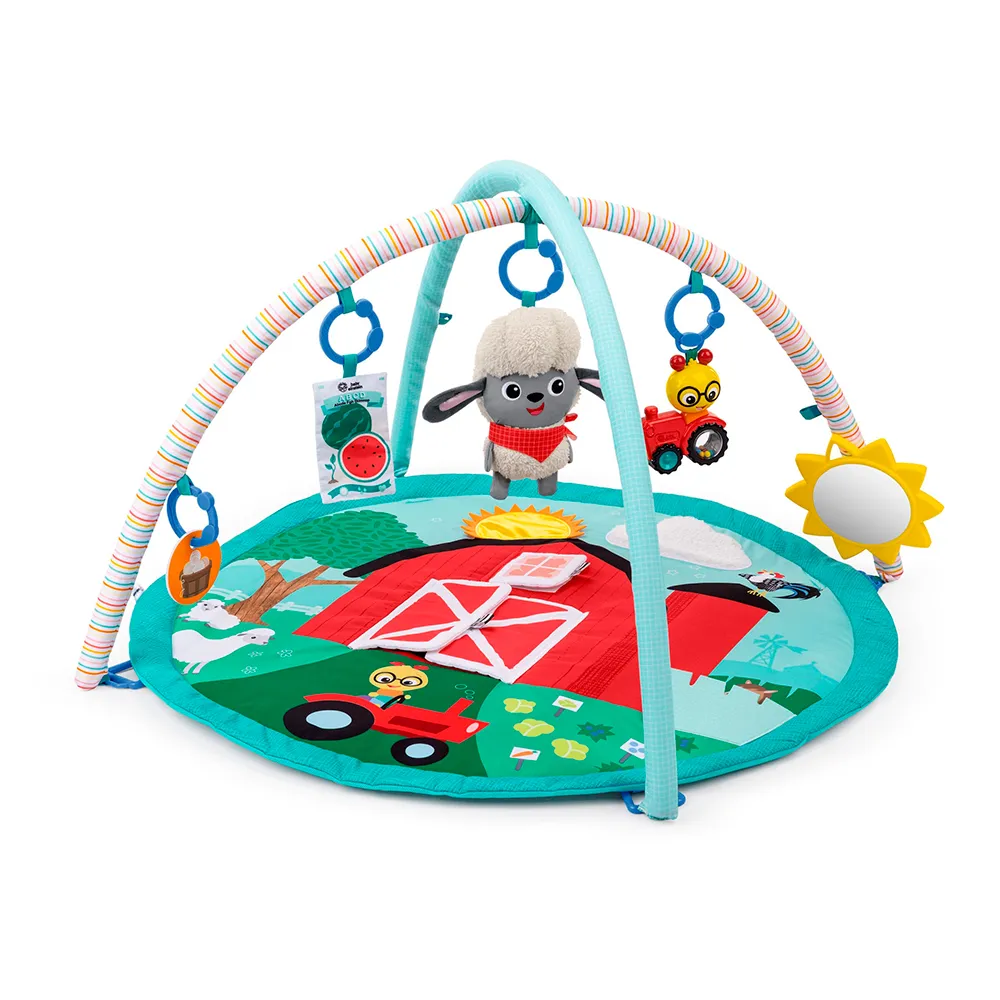 Baby Einstein Touch & Feel carpet activities