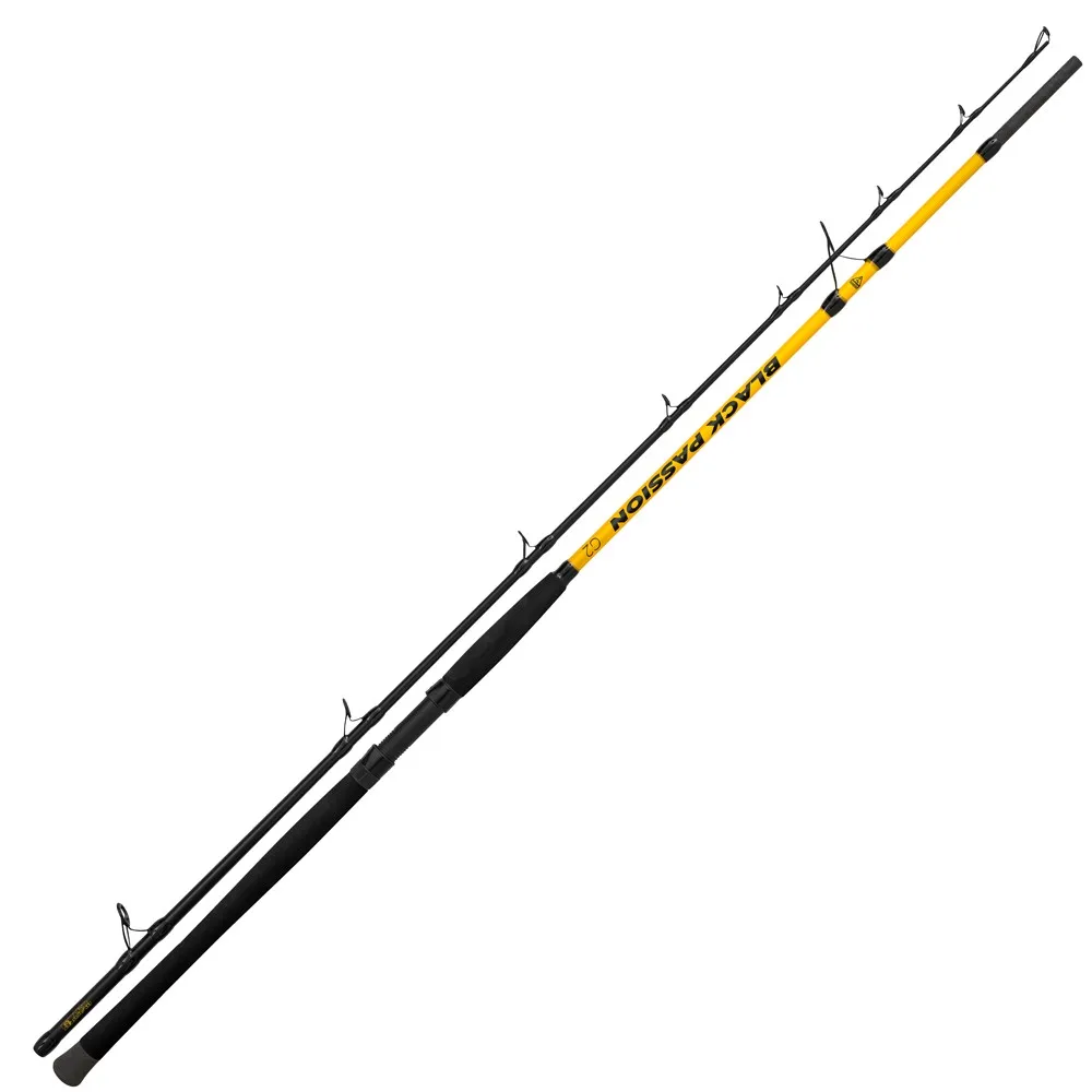 Black Cat Black Passion G2 Allround Catfish Rod