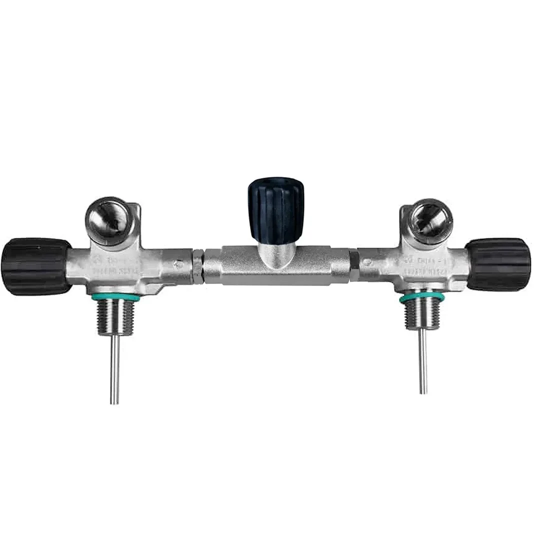BtS Manifold