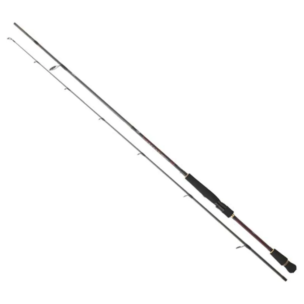 Daiwa Infeet Seabass spinning rod