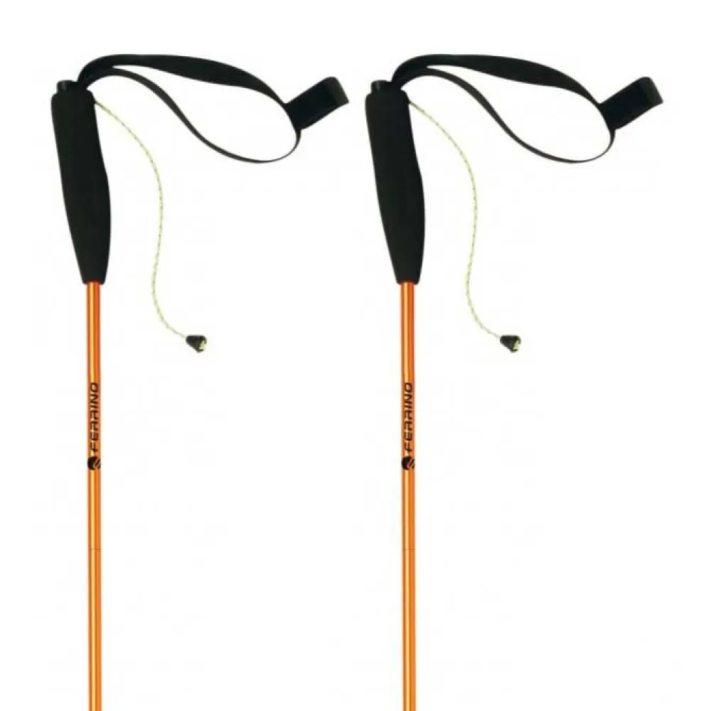 Ferrino Eiger poles