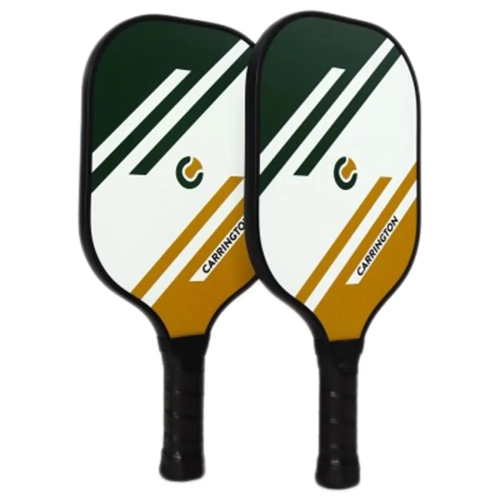 Lynx Sport Fiberglass pickleball set
