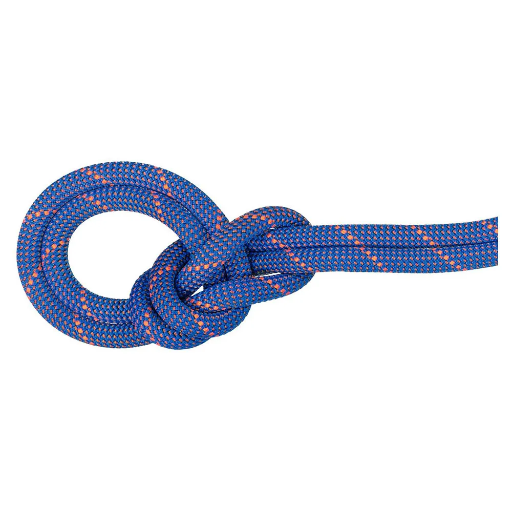Mammut Crag Sender Dry 9 mm rope