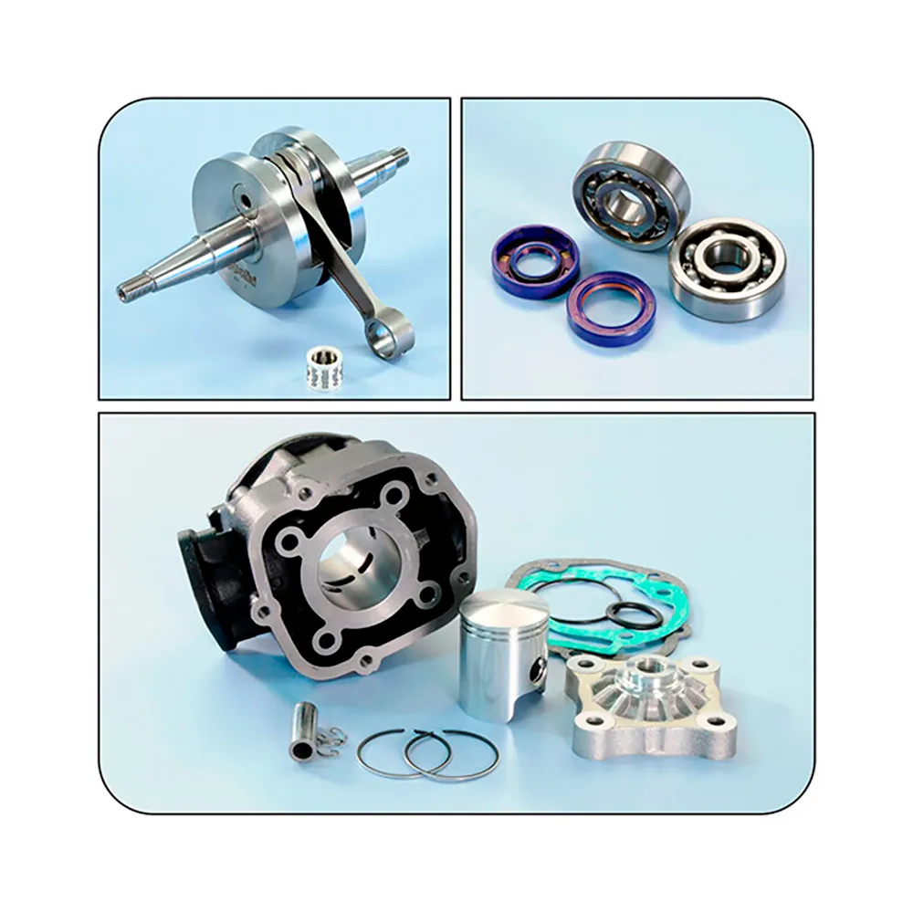 Polini 109.0018.1 cylinder kit