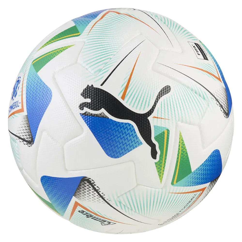 Puma Cumbre Conmebol FIFA® Quality Pro football ball
