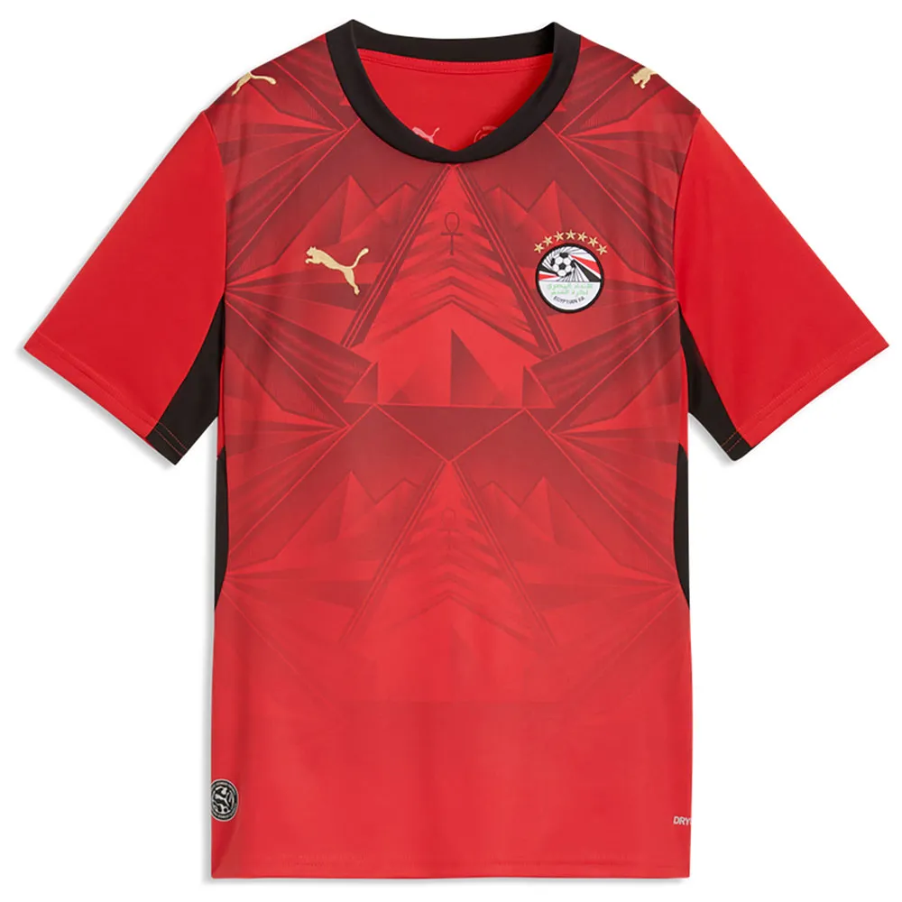 Puma Egypt 25/26 Replica home junior short sleeve T-shirt