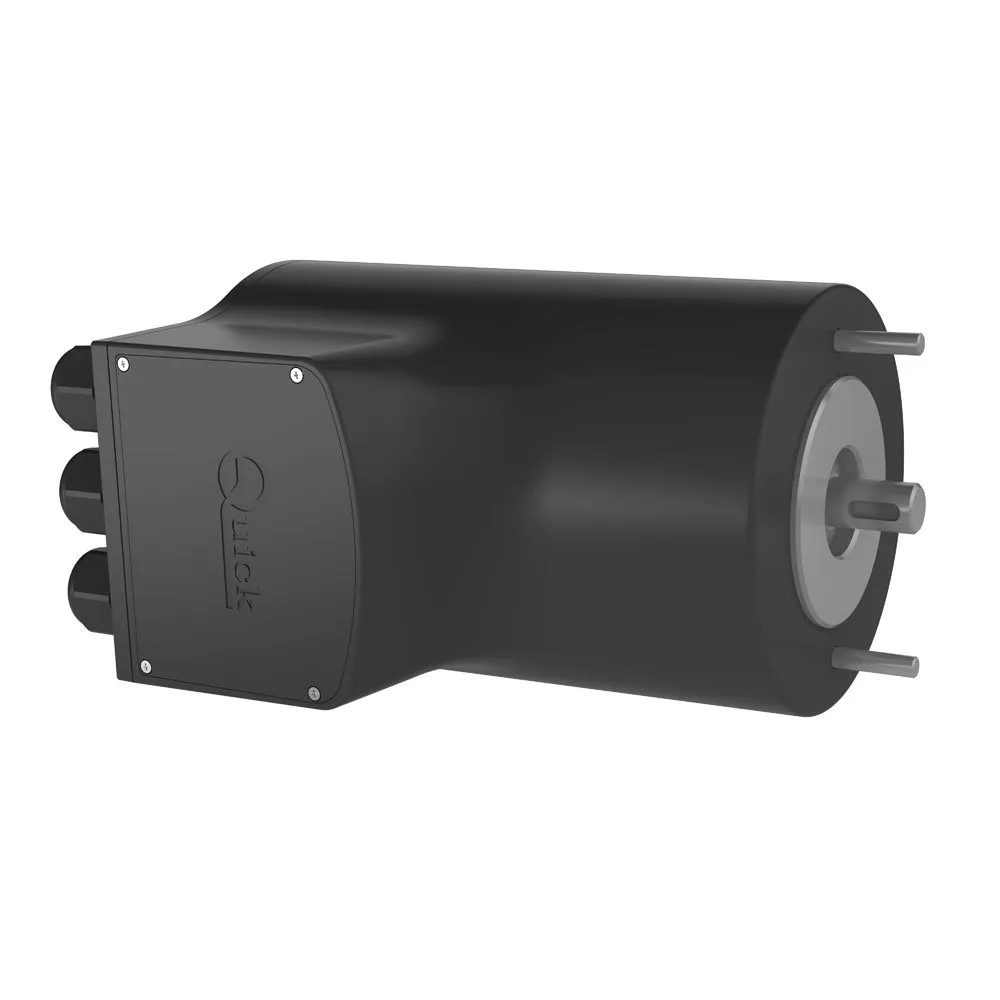 Quick Italy Motor Spare Part 12V 1500W