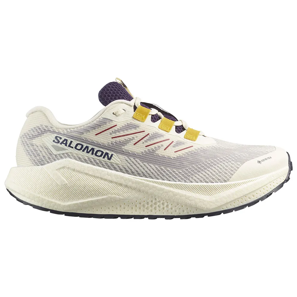 Salomon Aero Blaze 3 GRVL GORE-TEX® running shoes