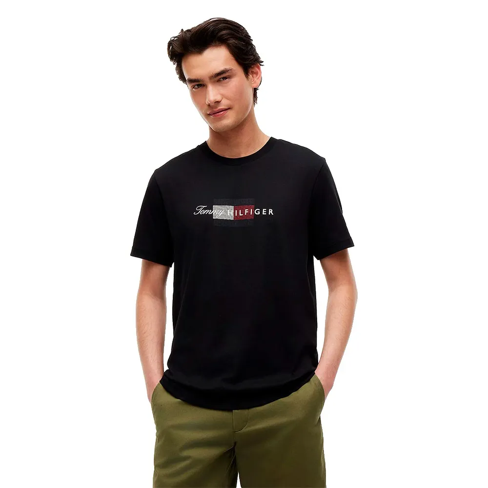 Tommy Hilfiger MW0MW43226 short sleeve T-shirt